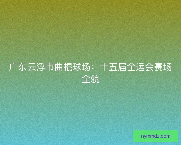 广东云浮市曲棍球场：十五届全运会赛场全貌