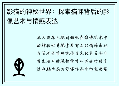 影猫的神秘世界：探索猫咪背后的影像艺术与情感表达